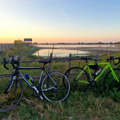 Our bikes
